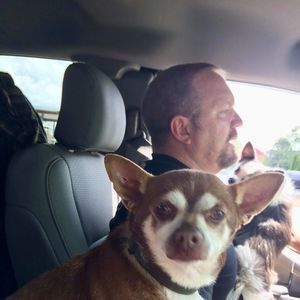 Meet your Posher, Roy